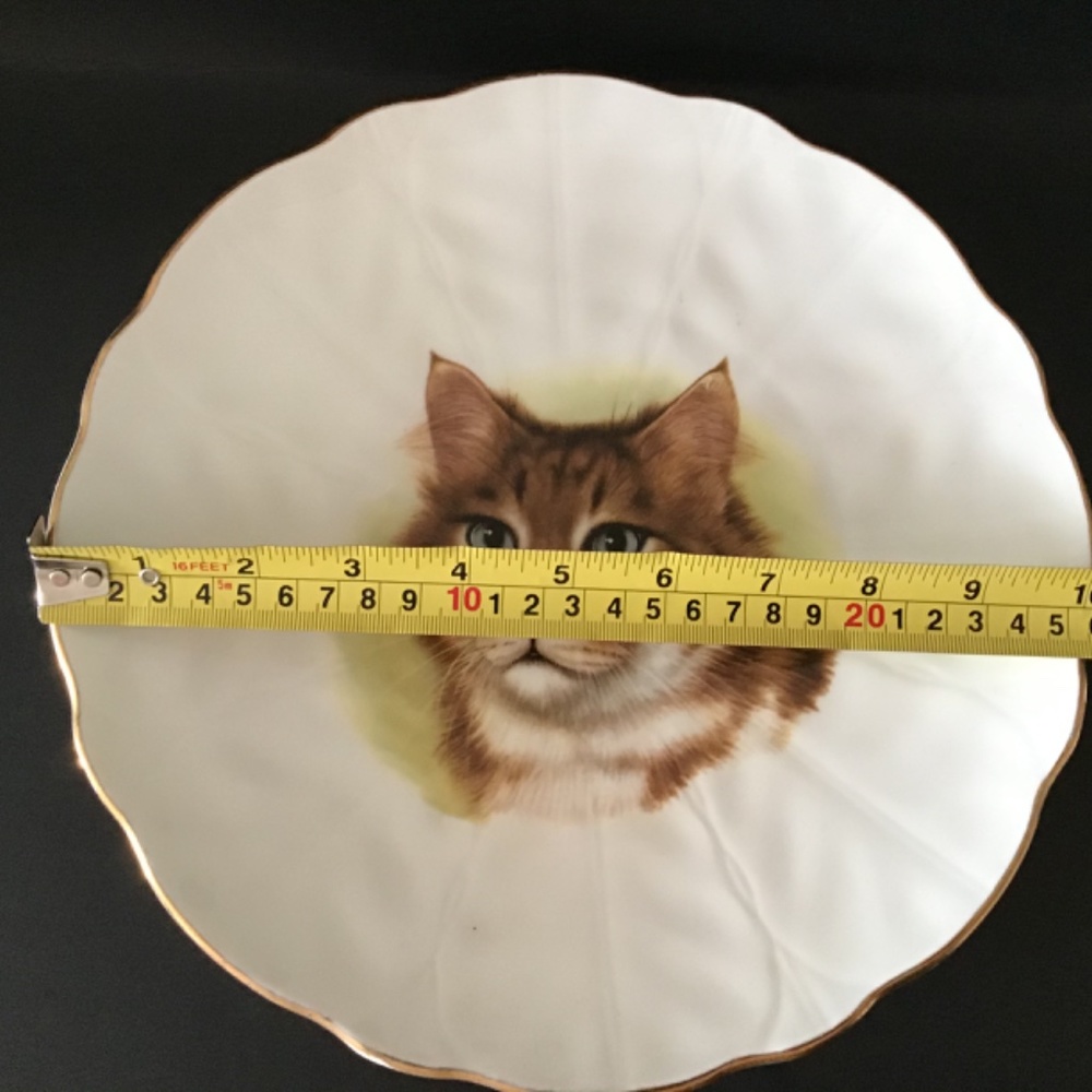 Royal Staffordshire England Collection Plate Cat - Picture 4 of 4